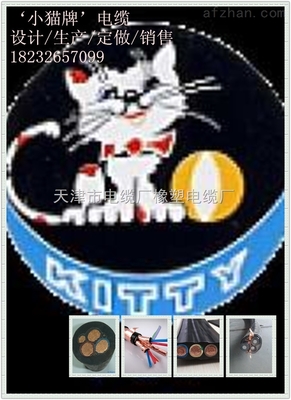 DJYPVP-計算機(jī)電纜廠家電話DJYPVP銅絲屏蔽電纜DJYPVP1*1*0.5價格-天津市電纜廠橡塑電纜廠